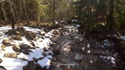 Starting the trip up the gorge