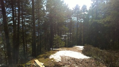 Kjøsterudjuvet trip