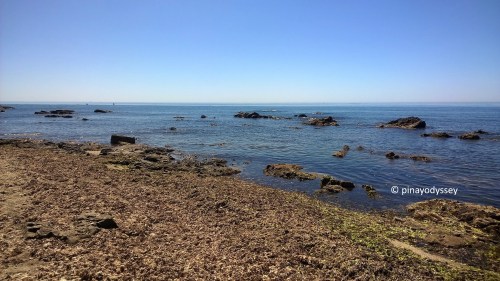 wp_20160618_12_19_45_pro