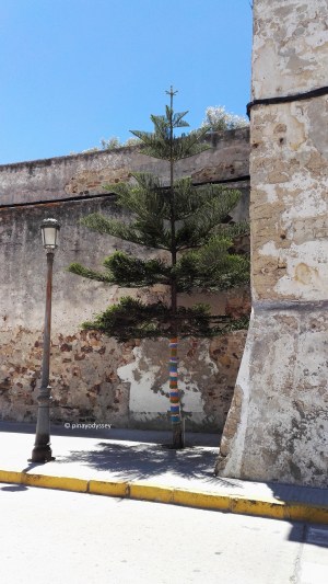 A tree with art installation