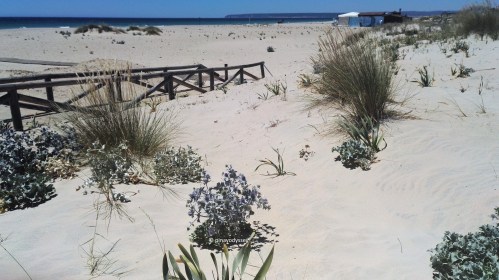 Zahara de los Atunes