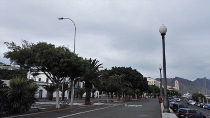 Avenida de la Constitucion