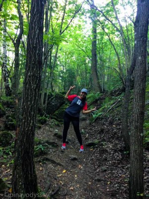 Into the Norwegian woods