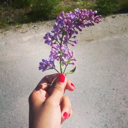 13263680_1048253425264766_6366850007217999340_n