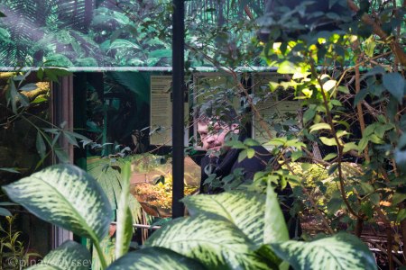 I love this man. Happy Valentine's, babe! <3