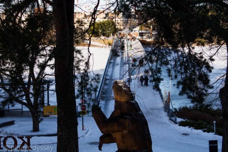 Welcome to Helsinki Zoo island!