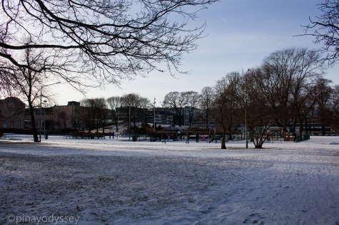 On the way to the botanical garden <3