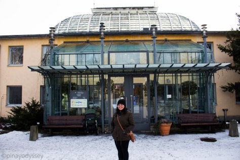 Kaisanieme Botanical Garden