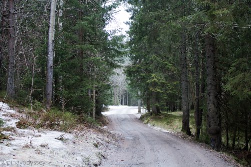 Konnerud-Drafnkollen route