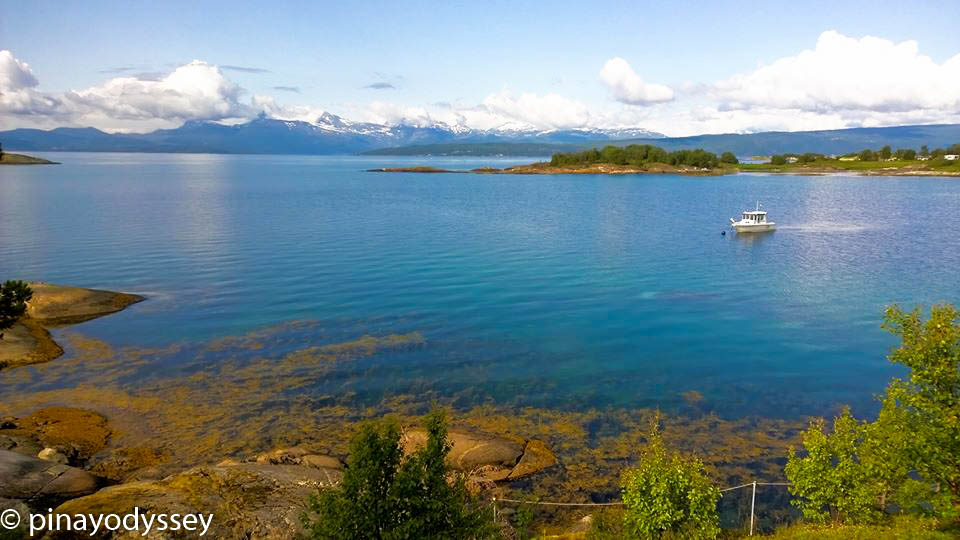 NORWAY: Ofotfjorden – Love at first&nbsp;sight