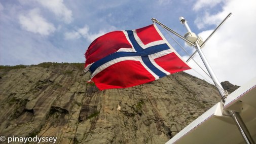 The Norwegian flag
