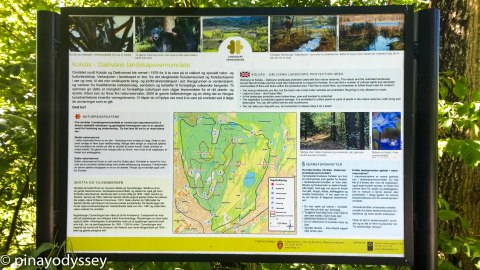 Welcome to Skotta nature reserve