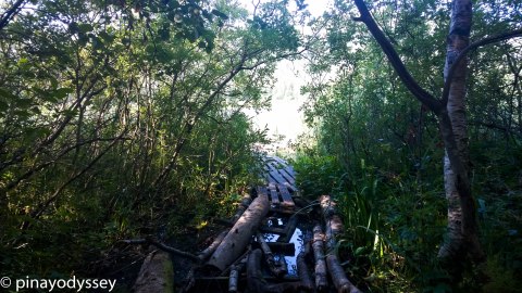 Finally, the Dælivann