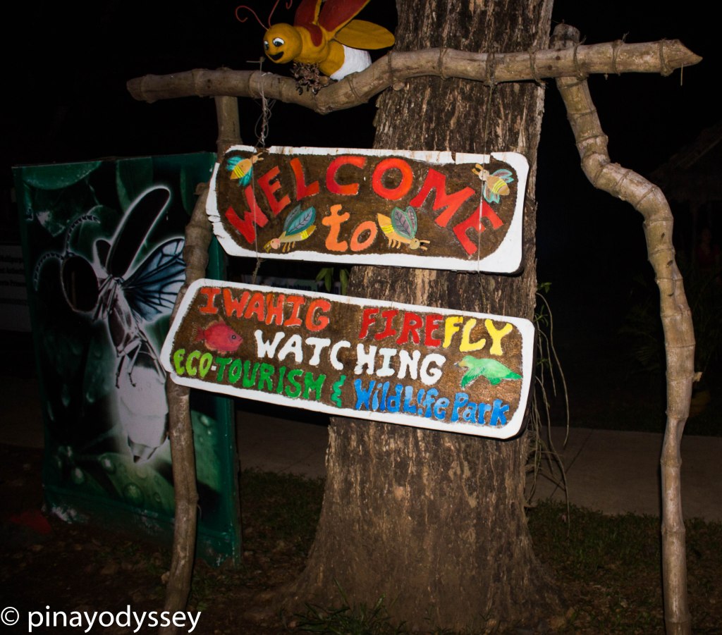 PHILIPPINES: Iwahig River Firefly Watching in Palawan – immersion in&nbsp;nature