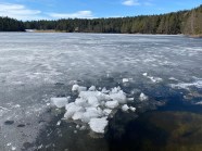 NORWAY A Stroll Around A Frozen Landfalltjern lake In Drammen NORWAY A Stroll Around A Frozen Landfalltjern lake In Drammen