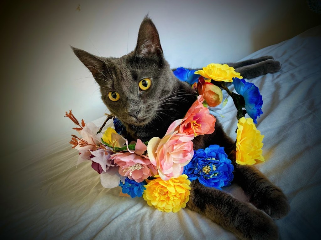 RoadTrip #34: Celebrating Midsummer in Torsby, Sweden (+ a daytrip to Rottneros&nbsp;Park)